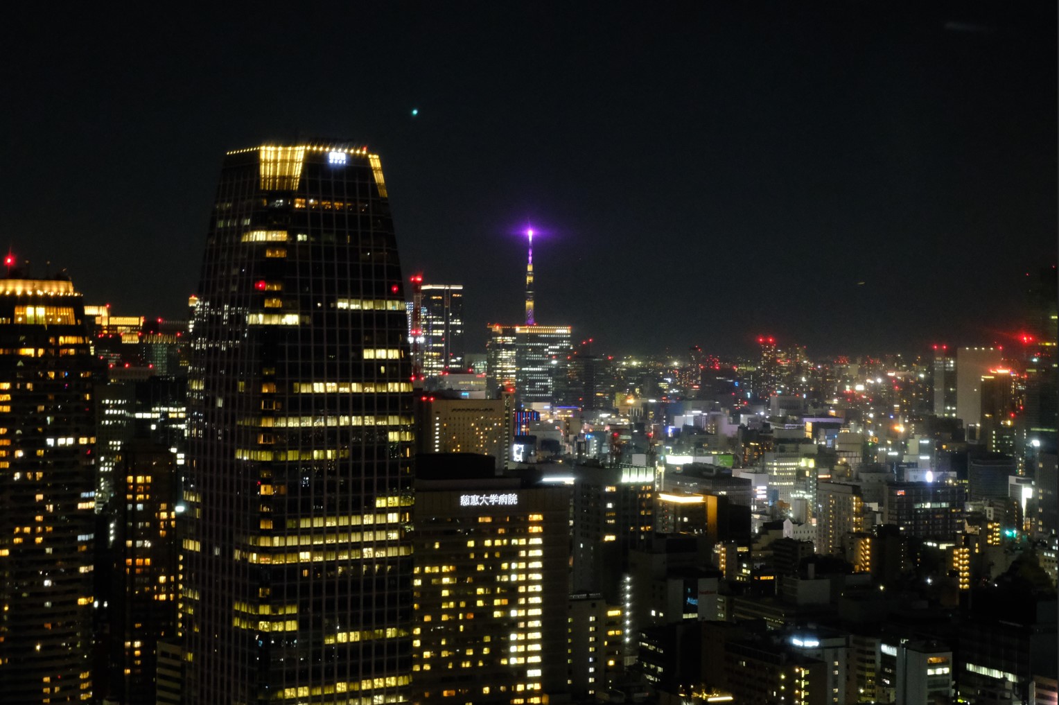 view of tokyo