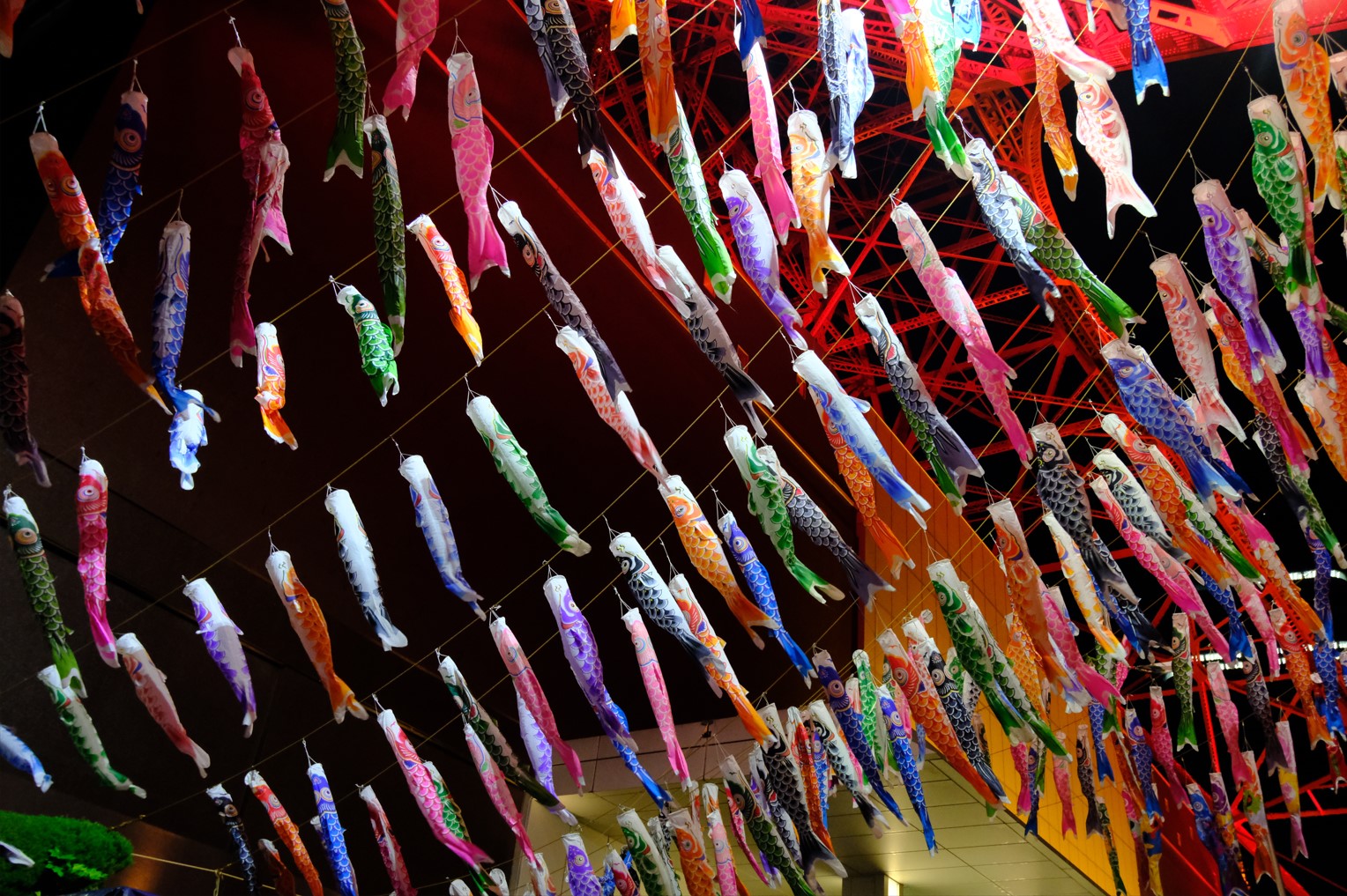 tokyo tower koinobori